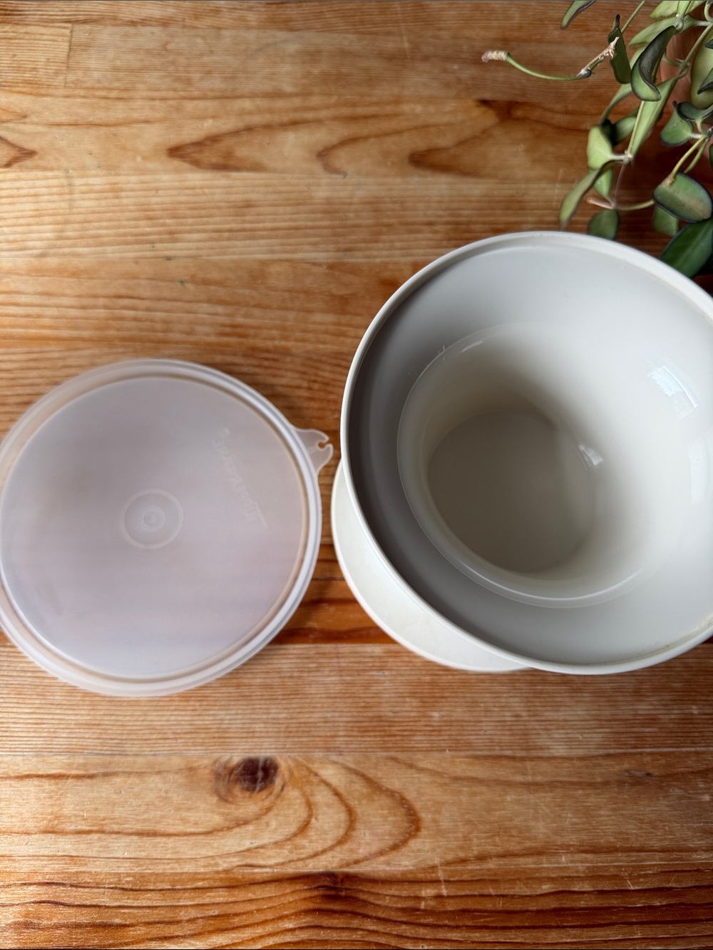 Vintage Tupperware Container - Picture 5 of 6